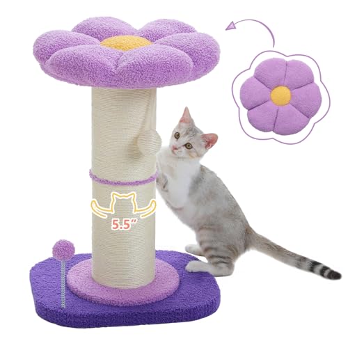 PEQULTI Flower Cat Scratching Post Small Cat Tree Tall Cat Scratcher for Indoor Cats with Super Thick Scratching Post [Dia=5.5''], Removable Flower Cat Bed Cat Scratch Post with Spring Ball, Purple von PEQULTI