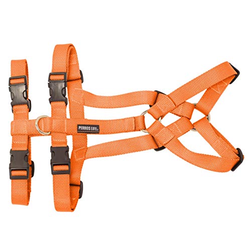 PERROS LIFE BUSHKA Hundegeschirr, feuerfest und verdrehsicher, 29 bis 45 kg (Orange) von PERROS LIFE