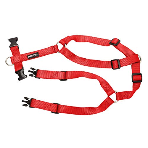 PERROS LIFE Römer Modell H rot Hund Torace 31-45 cm Gewicht 3-5 kg von PERROS LIFE