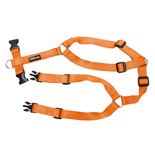 PERROS LIFE Römisches Geschirr Modell H Hund Brust 81-120 cm Gewicht über 38 kg (Orange) von PERROS LIFE