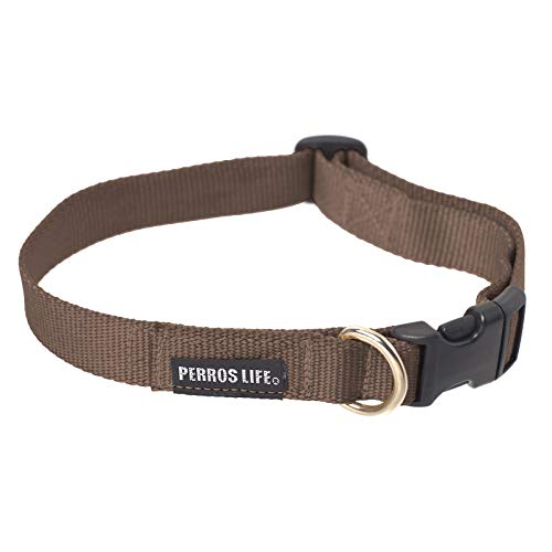 PERROS LIFE Verstellbarer Halsband CR10/L 22-33 cm Hund Pinscher Nano Toy Russo Bolognese von PERROS LIFE