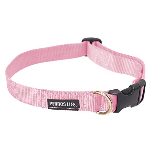 PERROS LIFE Verstellbarer Halsband CR10/L 22-33 cm Hund Pinscher Nano Toy Russo Bolognese von PERROS LIFE