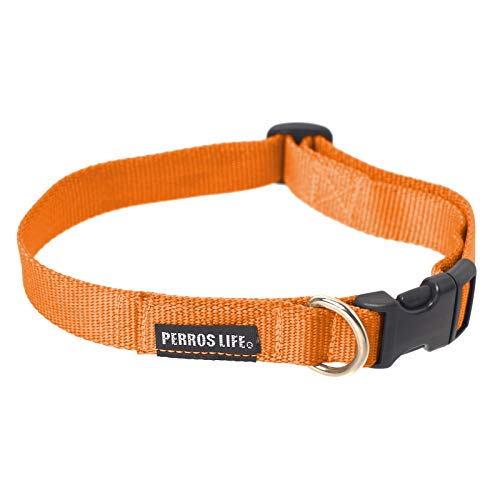 PERROS LIFE Verstellbarer Halsband CR10/S Hund 19-28 cm Chihuahua von PERROS LIFE