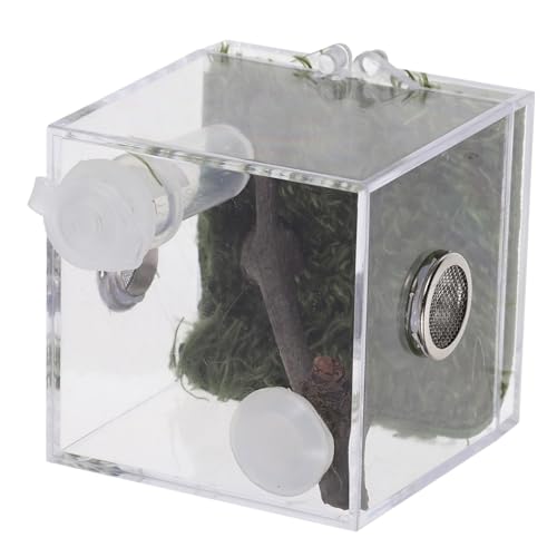 PERSELOSO Kasten Springspinnen-Zuchtbox acrylbehälter glasgefäß Tierpflegebox Tierbeobachtungsbox Acrylbox Springspinnen-Terrarium klarer Behälter luftbefeuchter Zuchtbehälter Heimtierbedarf von PERSELOSO