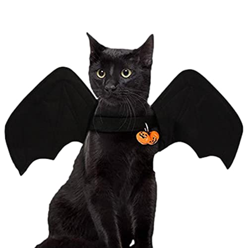 Halloween-Katze – Fledermaus, Katze, Cosplay-Kostüm, Zubehör für Halloween-Party, für Haustiere, für Katzen, Kätzchen, Jungen oder von PERTID