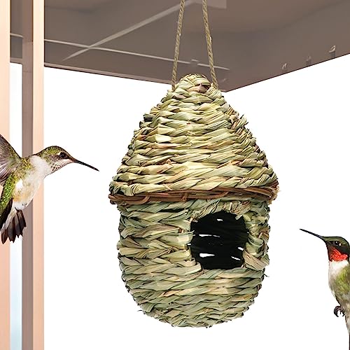 Kolibri zum Nisten, Vogelnest zum Aufhängen, aus Naturrasen, dekoratives Vogelnest für Terrasse, Garten, für Kolibris, Finken, Vögel Audubon Cipliko von PERTID