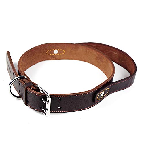 Peshouco Hundehalsband aus Leder, mit Griff, echtes Leder, mit Metalllegierung, verstellbar, handgefertigt, strapazierfähig, D-Ring für große, mittelgroße und kleine Hunde, L:18-23 inch Neck von PESHOUCO