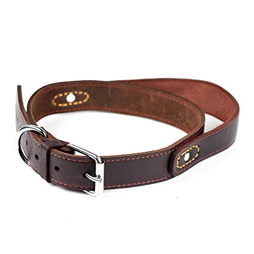 PESHOUCO Hundehalsband aus echtem Leder mit Griff, Metalllegierung, verstellbar, robuster D-Ring, braun, groß, für kleine bis mittelgroße Hunde von PESHOUCO