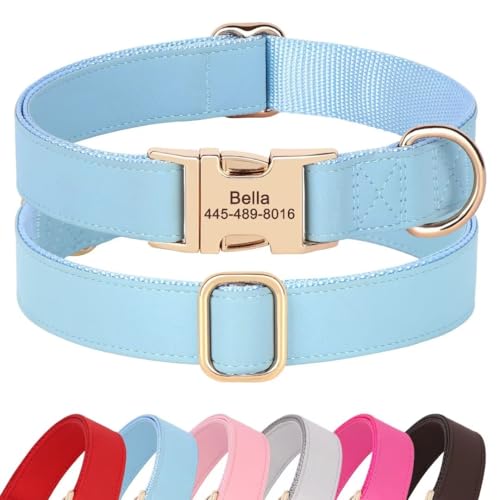 PET Artist personalisierte weiche Nylon Leder Hundehalsband stilvolle Elegante benutzerdefinierte Goldschnalle für kleine mittlere Hunde Blau L von PET ARTIST