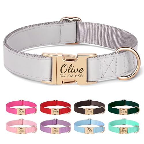 PET Artist personalisierte weiche Nylon Leder Hundehalsband stilvolle Elegante benutzerdefinierte Goldschnalle für kleine mittlere Hunde Grau M PET Artist personalisierte weiche Nylon Leder Hundehalsband stilvolle Elegante benutzerdefinierte Goldschnalle für kleine mittlere Hunde Grau M von PET ARTIST