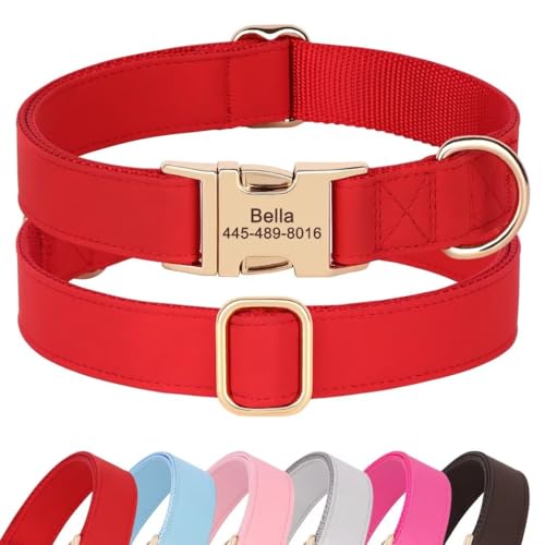 PET Artist personalisierte weiche Plain Nylon Leder Hundehalsband stilvolle Elegante benutzerdefinierte Goldschnalle für kleine mittlere Hunde Rot S von PET ARTIST