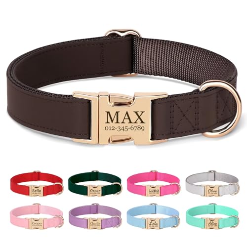 PET Artist personalisierte weiche Nylon Leder Hundehalsband stilvolle Elegante benutzerdefinierte Goldschnalle für kleine mittlere Hunde Kaffee L PET Artist personalisierte weiche Nylon Leder Hundehalsband stilvolle Elegante benutzerdefinierte Goldschnalle für kleine mittlere Hunde Kaffee L von PET ARTIST