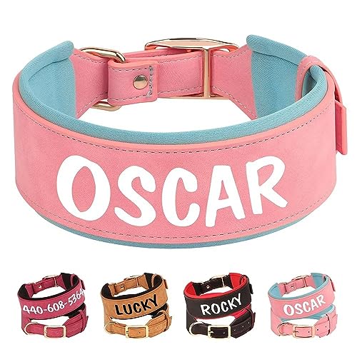 PET ARTIST Personalisiertes Lederhalsband für Mittlere Große Hunde mit Weich Gepolstert, Benutzerdefiniertes Hundehalsband mit Namen, Bequemes Rosa Hundehalsband für Mädchen PET ARTIST Personalisiertes Lederhalsband für Mittlere Große Hunde mit Weich Gepolstert, Benutzerdefiniertes Hundehalsband mit Namen, Bequemes Rosa Hundehalsband für Mädchen von PET ARTIST