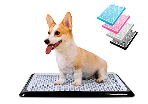 Pet Awesome Töpfchentablett für Hunde/Welpen, 63,5 x 50,8 cm, für kleine und mittelgroße Hunde Pet Awesome Töpfchentablett für Hunde/Welpen, 63,5 x 50,8 cm, für kleine und mittelgroße Hunde von PET AWESOME