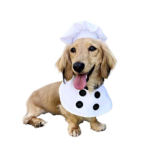 Pet Krewe Chef Uniform Hundekostüm für Hunde in den Größen S, M, L oder XL – perfekt für Halloween, Partys, Fotoshootings, Geschenke für Hundeliebhaber (S) von PET KREWE UNLEASH THE PARADE