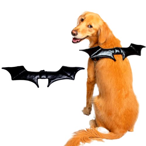 Pet Krewe Fledermaus-Hundekostüm – Fledermausflügel – Geschirrbefestigung, Einheitsgröße – perfekt für Halloween, Weihnachtsferien, Partys, Fotoshootings, Geschenke für Hundeliebhaber (Einheitsgröße) von PET KREWE UNLEASH THE PARADE