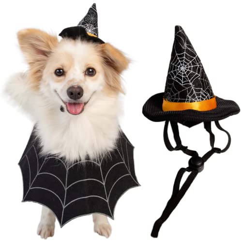 Pet Krewe Halloween Hexenhut und Halsband Hundekostüm & Katzenkostüm - Passend für kleine & mittelgroße Hunde und Katzen - Perfekt für Partys, Geburtstage, Fotoshootings und Geschenke für Hunde- & von PET KREWE UNLEASH THE PARADE