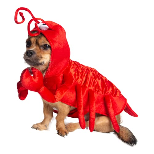 Pet Krewe Hunde Hummer Kostüm | Mittleres Fisch Haustier Kostüm für Hunde 1. Geburtstag, Nationaler Katzentag & Feiern | Halloween Outfit für kleine, mittlere, große & XL Katzen & Hunde von PET KREWE UNLEASH THE PARADE