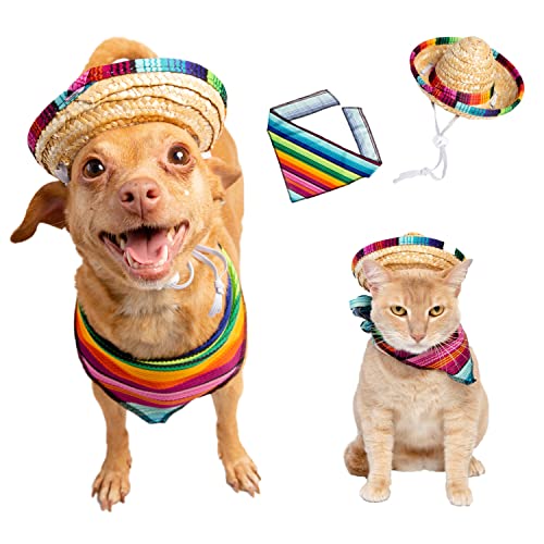 Pet Krewe Mexican Cinco de Mayo Sombrero Hut und Halsband Kostüm Set - Pet Serape Outfit für Hunde und Katzen - Perfekt für Halloween, Partys und Fotoshootings von PET KREWE UNLEASH THE PARADE