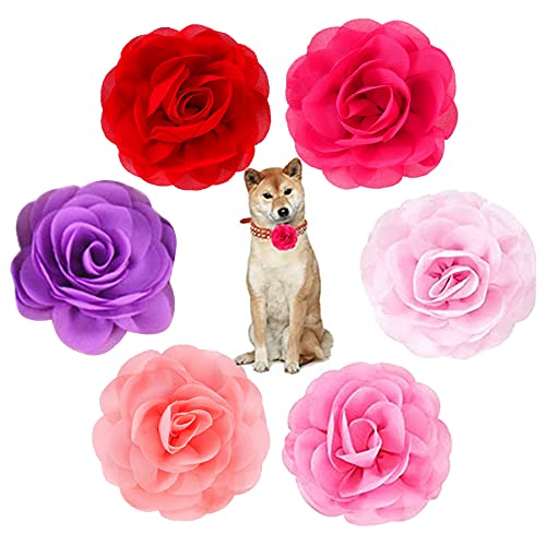 PET SHOW 6 Stück Hundehalsband-Schleifen und Blumen-Aufsatz für Mädchen, Welpen, Katzen, weibliche kleine mittelgroße Hunde, Halsbänder, Chiffon-Verzierung, Party, Pflegezubehör von PET SHOW