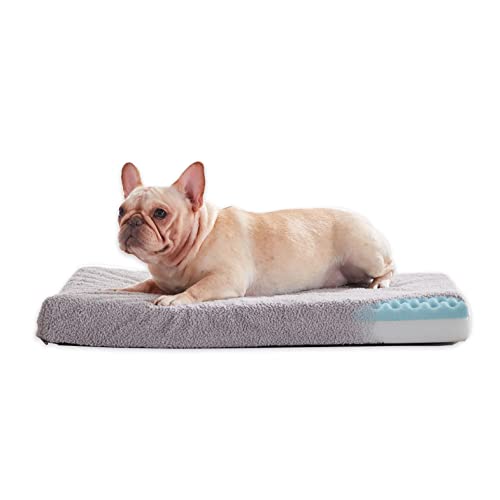 PETABBY Memory Foam Orthopädisches Hundebett, Wasserdicht Dicker Schaumstoff Hundebett Matratze mit Ultra Weiche Plüsch Oberfläche, Abnehmbarer Waschbarer Bezug Hundebett Kissen (M(74x46x7.5CM)) von PETABBY