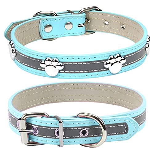 PETCARE Hundehalsband Halsband für kleine mittelgroße große Hunde Katzen Hunde Halsband von PETCARE