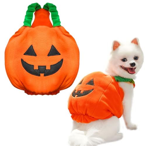 PETCARE Lustiges Kürbis-Halloween-Kostüm für Hunde und Katzen, dickes Plüsch, Kürbis-Dekoration, Hemd, Kleidung für kleine, mittelgroße Hunde, Katzen, Welpen, niedliches Halloween-Party, Cosplay, von PETCARE