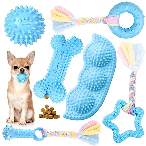 Petcare Kauspielzeug für Welpen, niedliches blaues Welpenspielzeug, kleines Hundespielzeug, weiches Gummiseil, Hundespielzeug, lustiger Knochenball, Reinigung der Zähne, Kauspielzeug für Welpen, von PETCARE