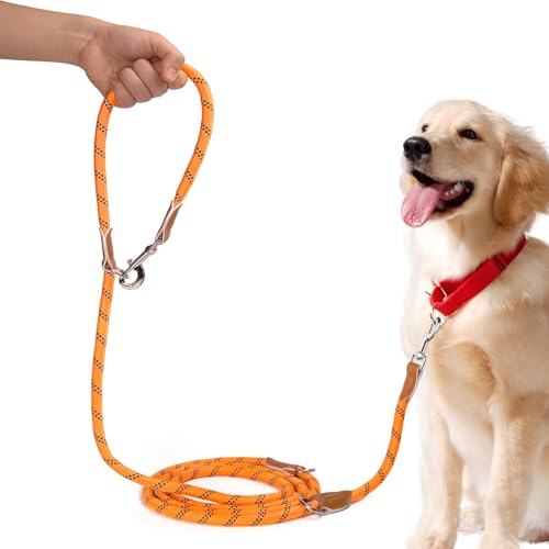 PETCOOZ Freihandleinen Hundeleine für Hunde 3 Meter, Orange von PETCOOZ