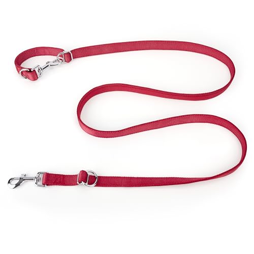 PETCOOZ Hundeleine 2M Verstellbare Schleppleine mit 2 Karabiner, Führleine Doppelleine für Kleine, Mittelgroße Hunde, Verdickte Freihandleinen, Übungsleine aus Dauerhafte Nylon, Weinrot von PETCOOZ