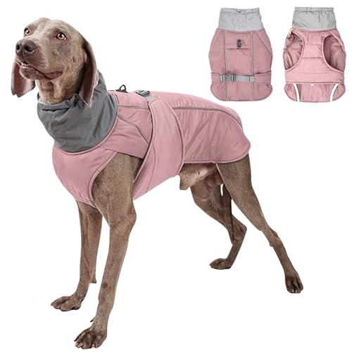 PETCUTE Hund Wintermantel,Wasserdichter Hundemantel Winter Warme Jacke,Winddichte Hundejacken mit Reflektierender Streifen und Gurtloch,Warmer Mantel für Hund für Camping Wandern von PETCUTE