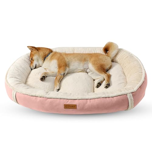 PETCUTE Hundebett Grosse Hunde,Orthopädisches Hundekorb Hundesofa mit rutschfeste Unterseite, Superweicher Hundebett Waschbar für Kleine und Mittelgroße Hunde und Katzen,Flauschig Katzenbett von PETCUTE