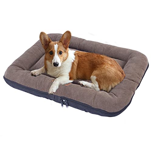 PETCUTE Hundebett Mittelgroße Hunde,Waschbar Hundekissen mit Abnehmbar Bezug,Super Weiches Hundesofa Hundekorb für große, mittelgroße Hunde,Hundematte,Hund Schlafplatz Innenbereich von PETCUTE