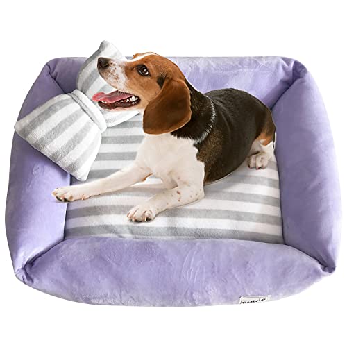 PETCUTE Hundebett für Mittelgroße Hunde,Waschbares Hundebett Katzenbett Rutschfestes Hundekissen Hundekorb mit Kissen,Rechteck Ultra Weicher Hundesofa für Kleine Hunde und Katzen von PETCUTE