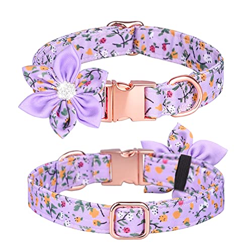 PETCUTE Hundehalsband mit Blume und Fliege,Stilvolle Hundehalsband,Verstellbarer Hundehalsband für Kleine/Mittelgroße/Große Hunde und Katzen,Atmungsaktiv Haustier Halsbänder mit Metallschnallen von PETCUTE