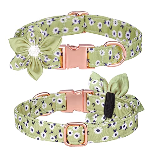 PETCUTE Hundehalsband mit Blume und Fliege,Verstellbarer Hundehalsband für Kleine/Mittelgroße/Große Hunde und Katzen,Atmungsaktiv Haustier Halsbänder mit Metallschnallen von PETCUTE