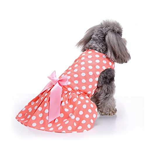 PETCUTE Hundekleid Haustier Kleine Hund Kleidung,Hundesommerkleid Haustier Hundekleid,Schöne Blume Haustier-Kleidung Elegante Bowknot Welpen Rock,Hundeprinzessin Kleider Tutu Hochzeit Spitze Kleid von PETCUTE