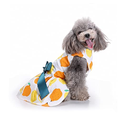 PETCUTE Hundekleid Haustier Kleine Hund Kleidung,Hundesommerkleid Haustier Hundekleid,Schöne Blume Haustier-Kleidung Elegante Bowknot Welpen Rock,Hundeprinzessin Kleider Tutu Hochzeit Spitze Kleid von PETCUTE