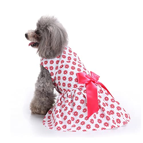 PETCUTE Hundekleid Haustier Kleine Hund Kleidung,Hundesommerkleid Haustier Hundekleid,Schöne Blume Haustier-Kleidung Elegante Bowknot Welpen Rock,Hundeprinzessin Kleider Tutu Hochzeit Spitze Kleid von PETCUTE