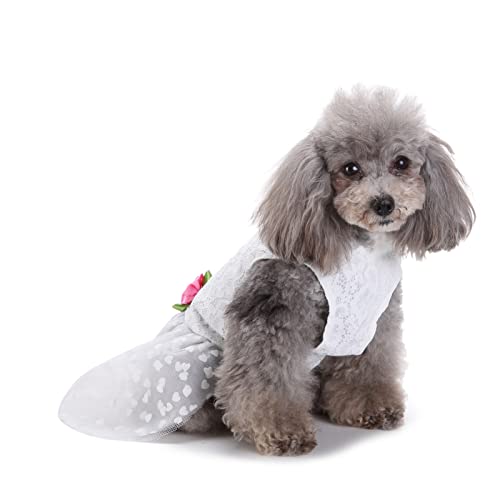 PETCUTE Hundekleid Haustier Kleine Hund Kleidung,Hundesommerkleid Haustier Hundekleid,Schöne Blume Haustier-Kleidung Elegante Bowknot Welpen Rock,Hundeprinzessin Kleider Tutu Hochzeit Spitze Kleid von PETCUTE