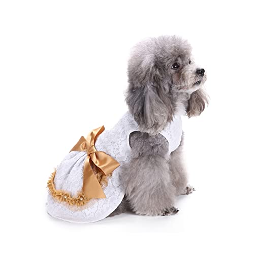 PETCUTE Hundekleid Haustier Kleine Hund Kleidung,Hundesommerkleid Haustier Hundekleid,Schöne Blume Haustier-Kleidung Elegante Bowknot Welpen Rock,Hundeprinzessin Kleider Tutu Hochzeit Spitze Kleid von PETCUTE