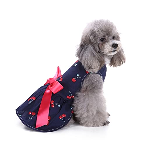 PETCUTE Hundekleid Haustier Kleine Hund Kleidung,Hundesommerkleid Haustier Hundekleid,Schöne Blume Haustier-Kleidung Elegante Bowknot Welpen Rock,Hundeprinzessin Kleider Tutu Hochzeit Spitze Kleid von PETCUTE