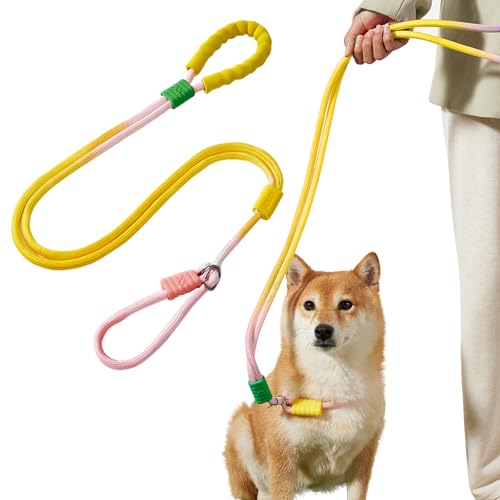 PETCUTE Hundeleine Große Hunde,Verstellbar Hundeleine mit Bequemen Gepolsterten Griff,Robuste Nylon Doppelleine für Hunde,Hundeleine zum Training,Hundeleine für große und mittelgroße Hunde von PETCUTE