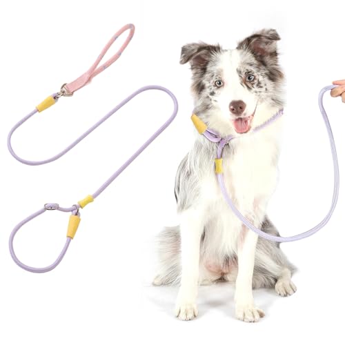 PETCUTE Hundeleine Große Hunde,Verstellbar Hundeleine mit Bequemen Gepolsterten Griff,Robuste Nylon Doppelleine für Hunde,Hundeleine zum Training,Hundeleine für große und mittelgroße Hunde von PETCUTE