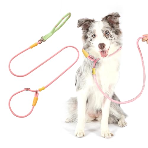 PETCUTE Hundeleine Große Hunde,Verstellbar Hundeleine mit Bequemen Gepolsterten Griff,Robuste Nylon Doppelleine für Hunde,Hundeleine zum Training,Hundeleine für große und mittelgroße Hunde von PETCUTE