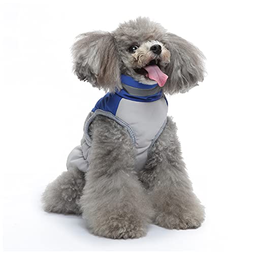 PETCUTE Hundemantel Winter,Warme Hundejacke mit Fleece Gefütterte,Welpenmantel Jacke Weste Kleidung,Reflektierende Hundemäntel für Kleine Mittlere Große Hunde,Ideal für kaltes Wetter von PETCUTE