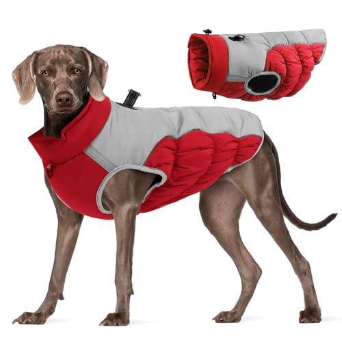 PETCUTE Hundemantel für Kleine Hunde,Wasserdicht Hundejacke mit Reflektierender Streifen,Winddichte Winterweste Jacken für Kleine Mittlere Hunde,Welpen Winter Warme Jacke mit D-Ring von PETCUTE