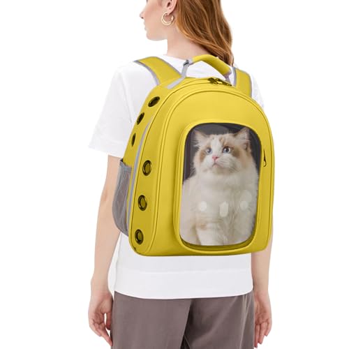 PETCUTE Hunderucksack,Atmungsaktiv Transparente Katzenrucksack,Haustier Rucksack Tragetasche mit Abnehmbarer Mattezum,Innerer Sicherheitsgurt,Fluggesellschaft Zugelassenen Hunde Katzen Rucksack von PETCUTE