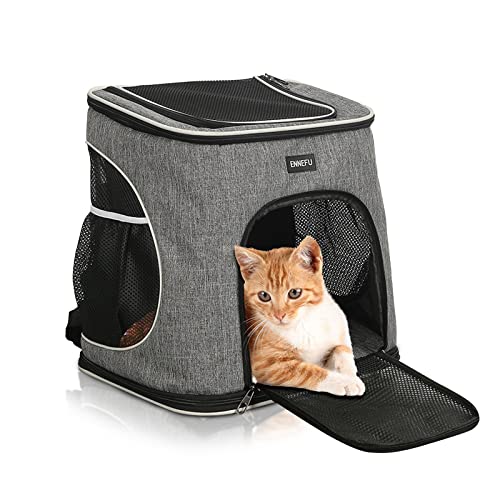 PETCUTE Hunderucksack Katzenrucksack,Haustier Rucksack für Hund und Katzen,Atmungsaktiv Haustiertragetasche mit Herausnehmbarer Matte,Faltbar Welpen Rucksack mit Verstellbarer Schultergurt von PETCUTE