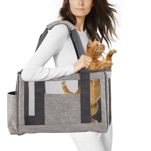 PETCUTE Hundetasche,Airline Genehmigt Transporttasche für Hunde, Transporttasche für Haustiere mit Schultergurt,Atmungsaktiv Tragetasche Katzen Haustiertasche für Kleine Hunde von PETCUTE